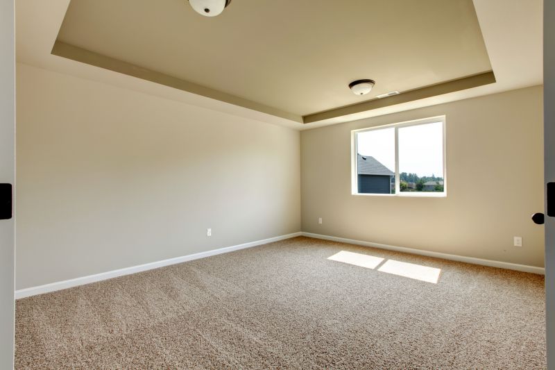 Carpet Hole Repair in Alpharetta, GA